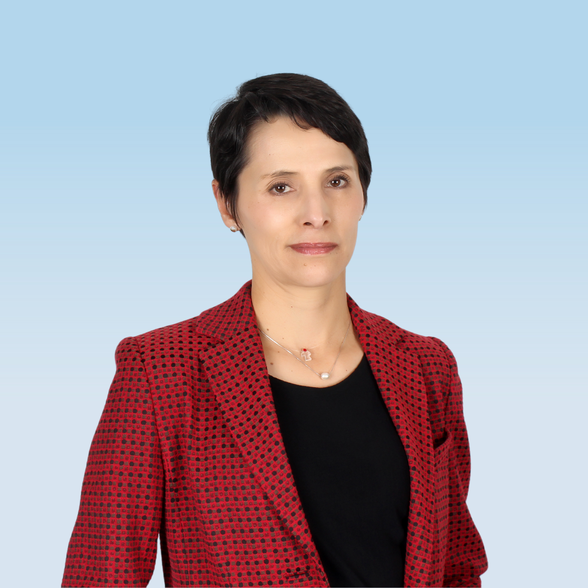 Mnica 1