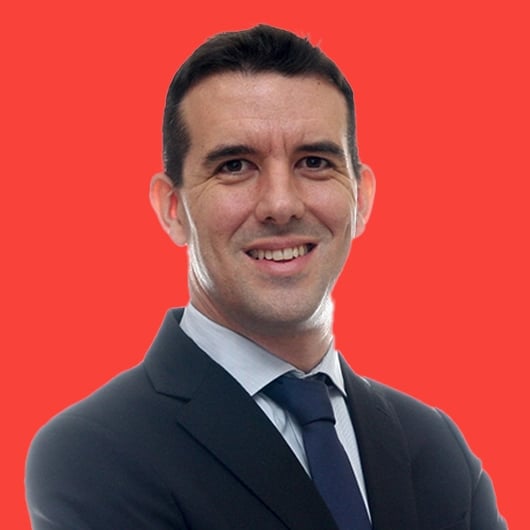 Miguel Angel de La Rua_red