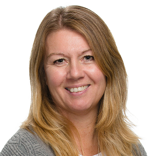 Ann-Sofie Alteskog, WSP
