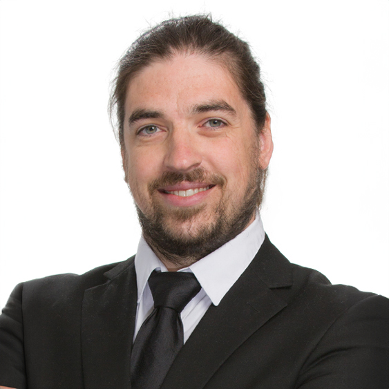 Bram van der stocken, WSP