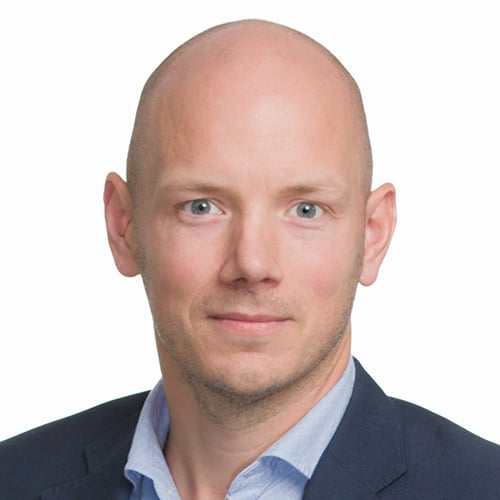 Ola Vidner, WSP