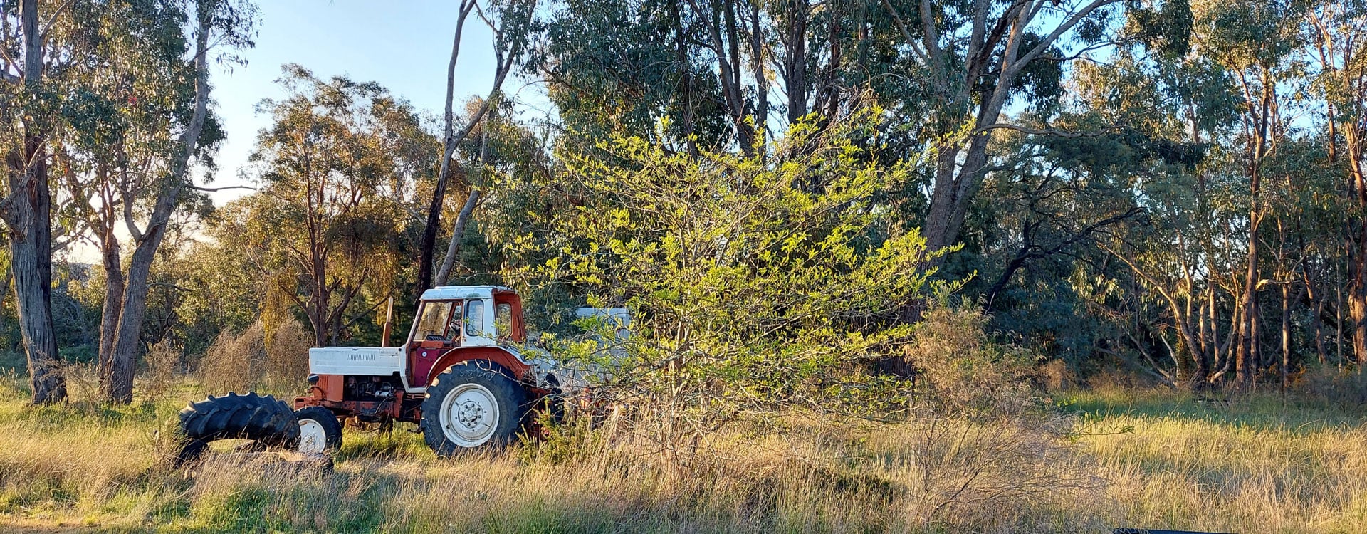 bnr-central-drought-plan