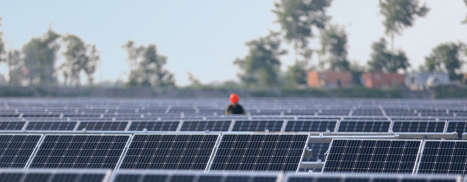 Solar Flair Alliance, Queensland