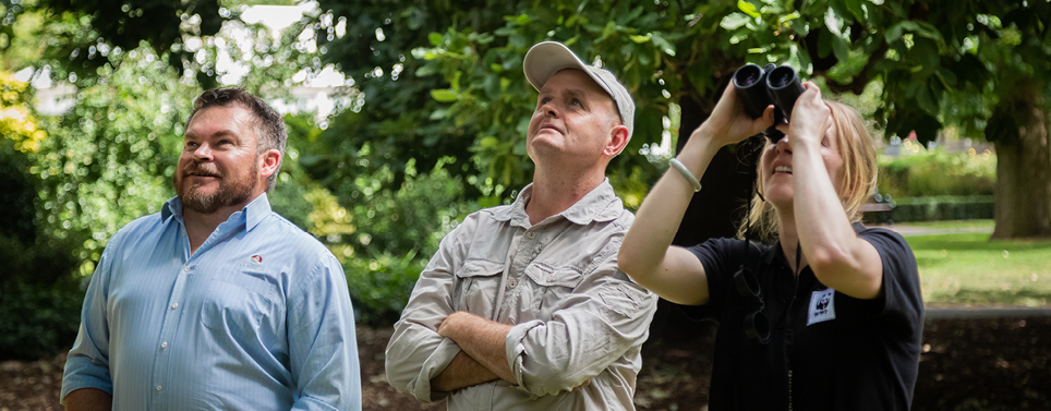 img-flying-fox-atmospheric-cooling-observation