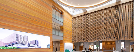 thn-Chinese-Medicine-Hospital
