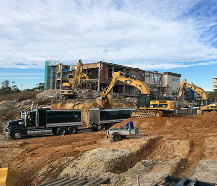 04_diggers