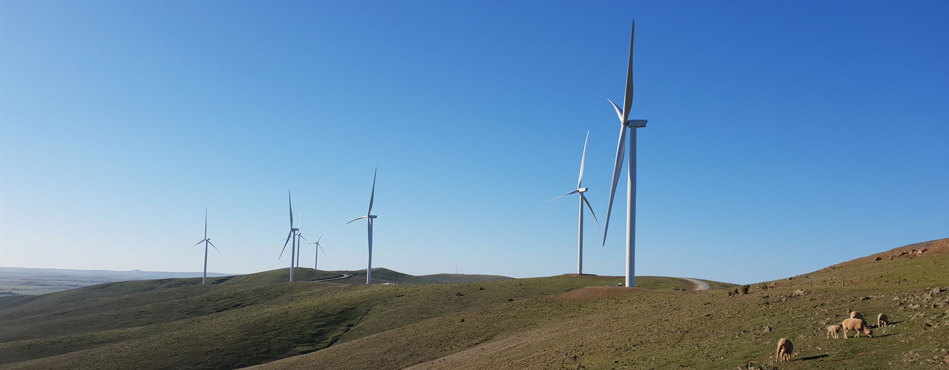 bnr-wind-prospect_2024