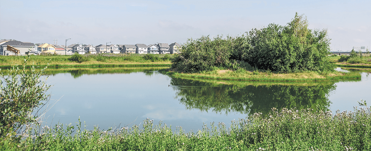img-Starling-at Big-Lake-Residential-Community