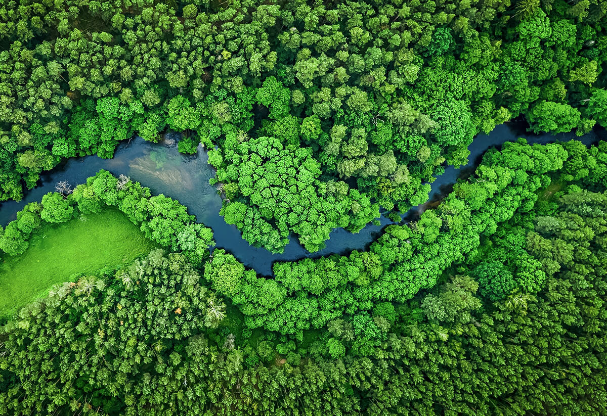 Meridiam’s TNFD Roadmap to Protect Nature and Investments | WSP