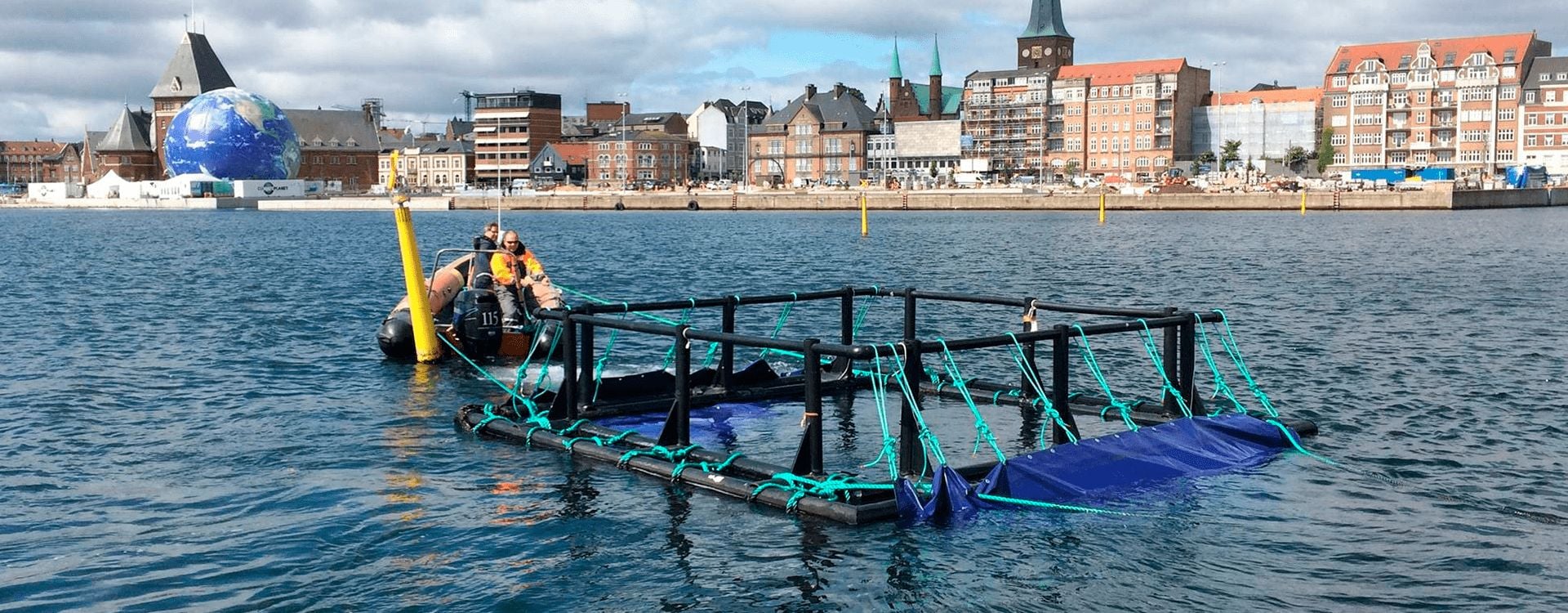 Muslinger i Aarhus Havn