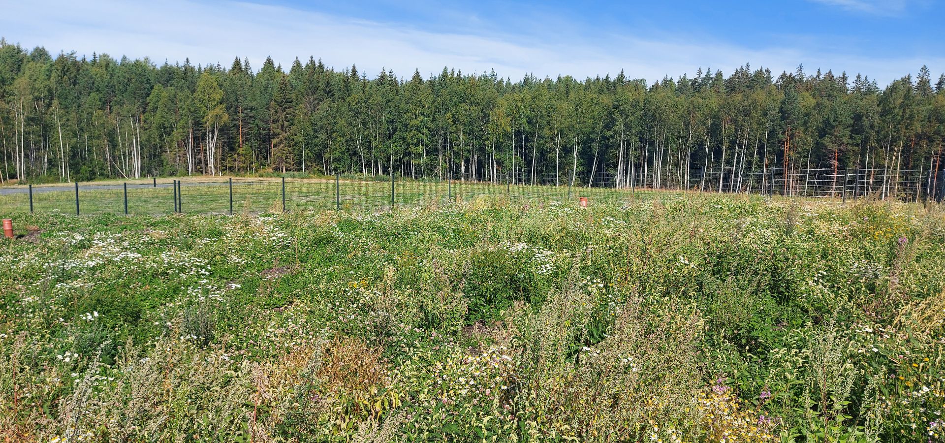 img-sotungin-kaatopaikka-niitty
