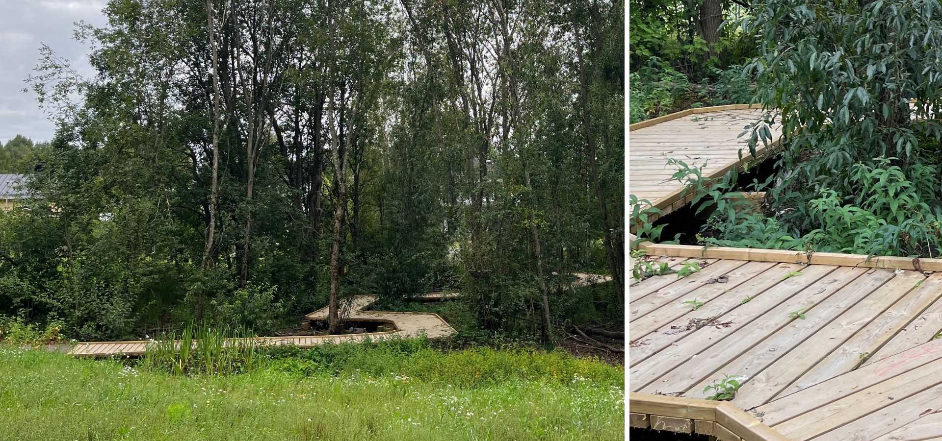 img-suuntimopuisto-kosteikko