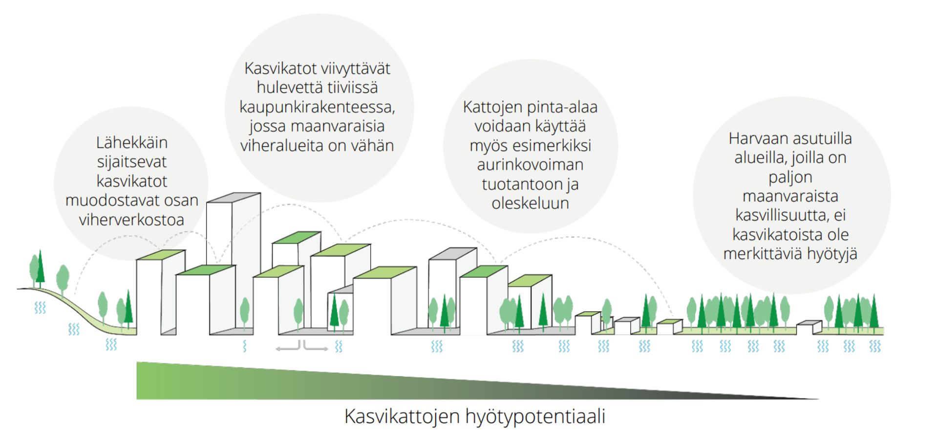 img-tampereen-kasvikattolinjaus