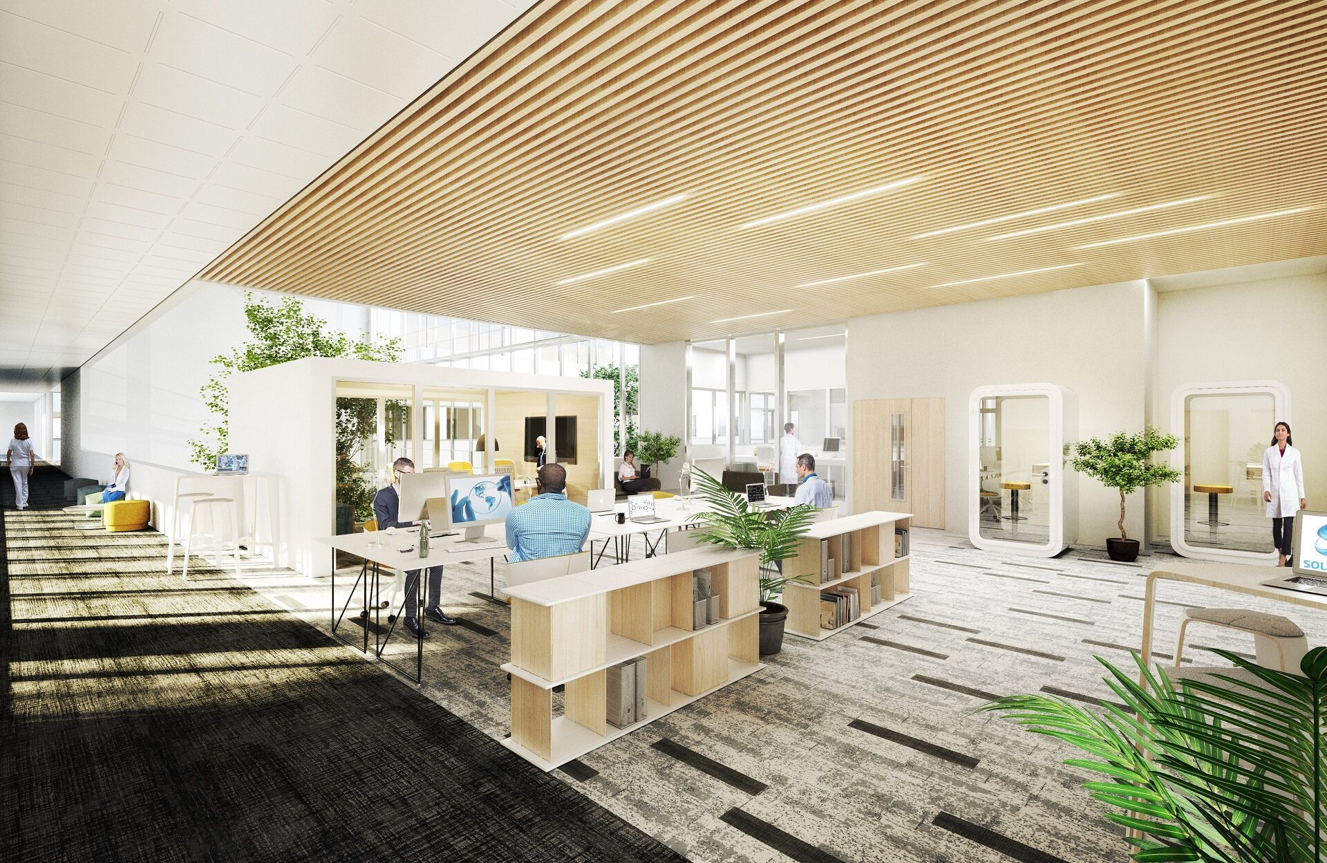 bnr-city-light-bureaux (1)