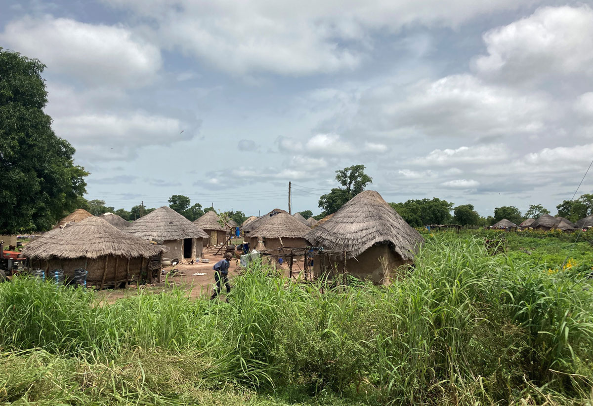 img-west-africa-transmission-04a