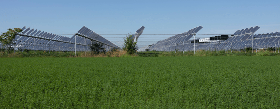 Agrivoltaico Thumbnail