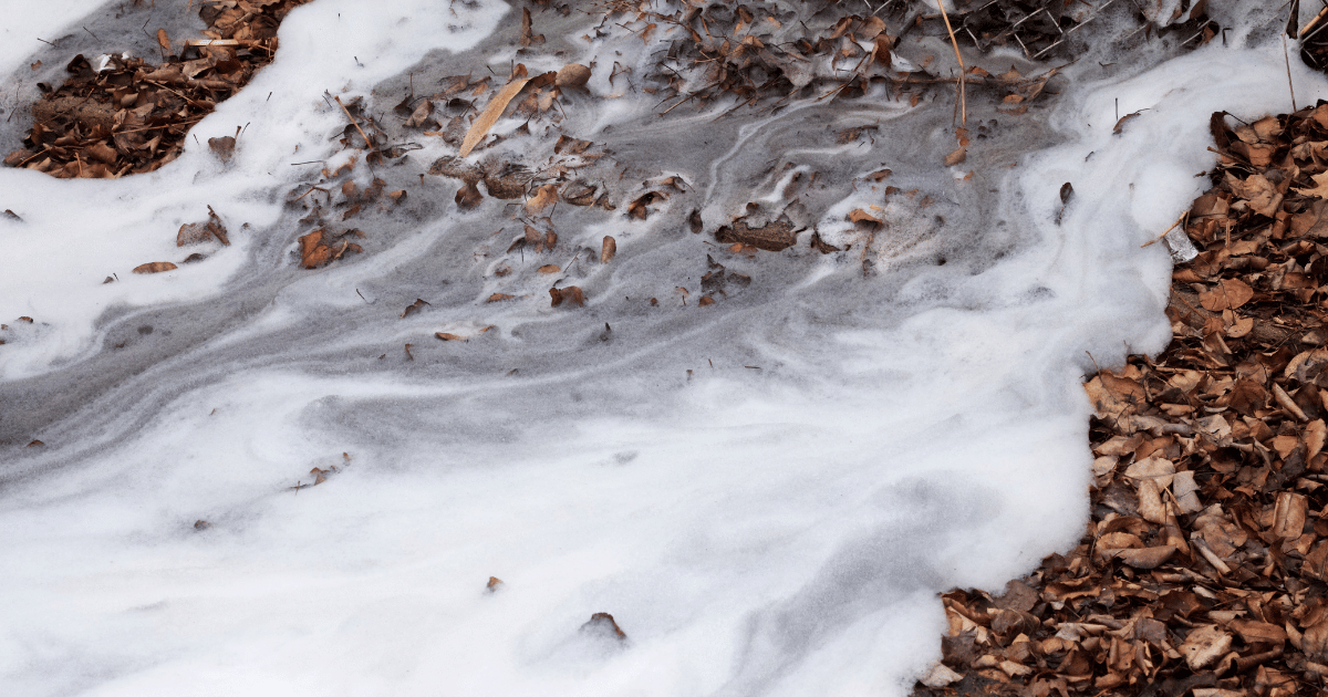 Img_project_PFAS foam