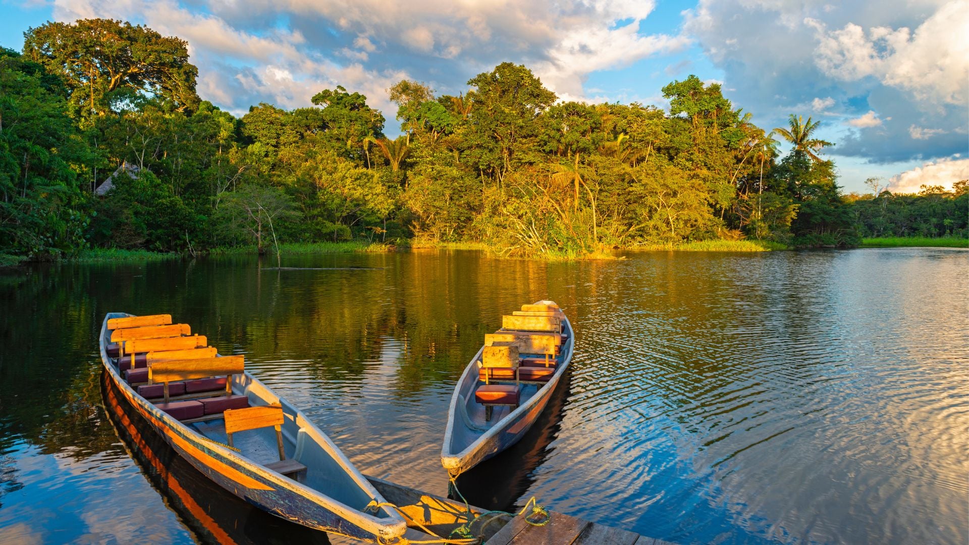 Banner Amazon River