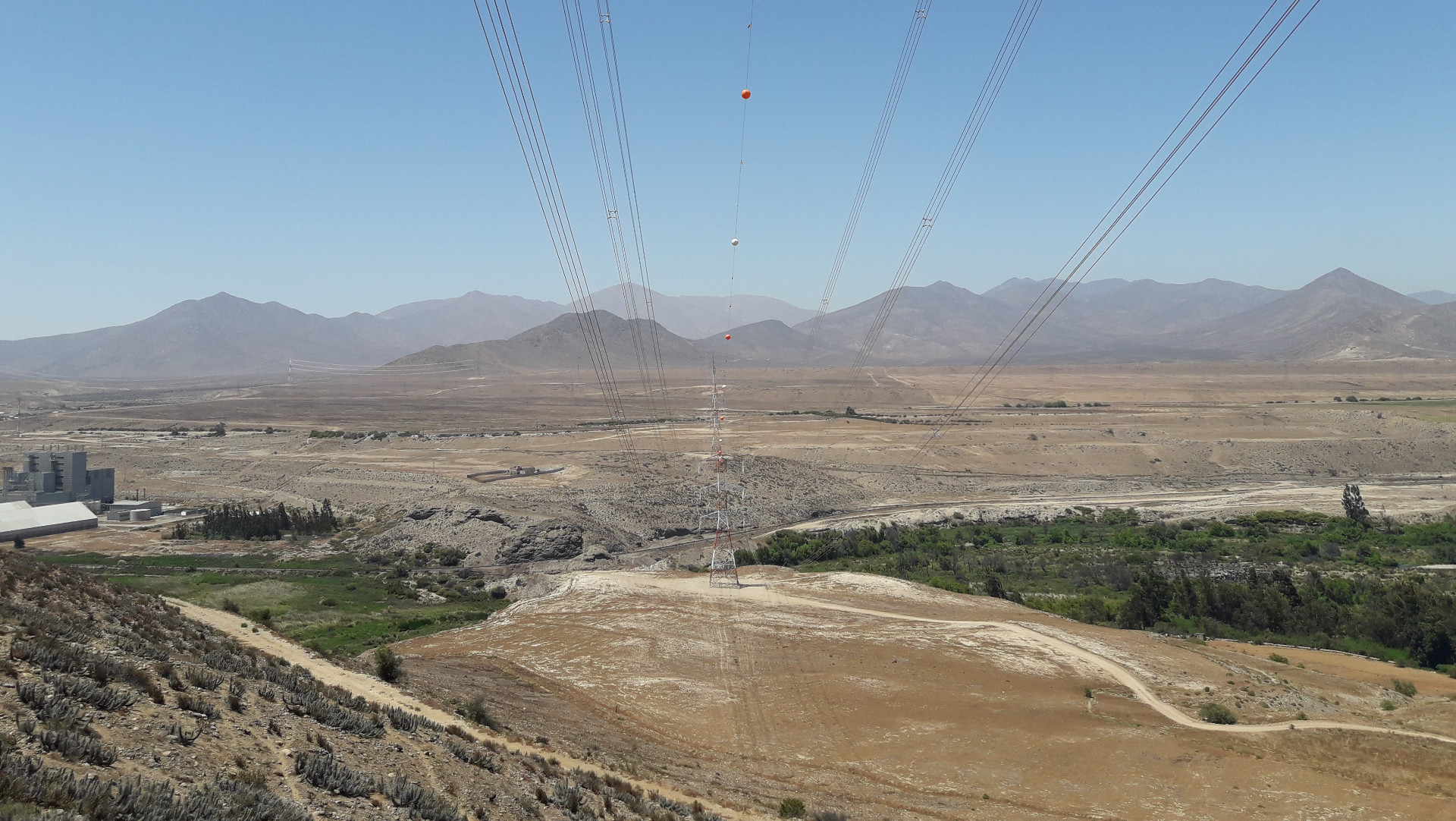 img-cardones-polpaico-1