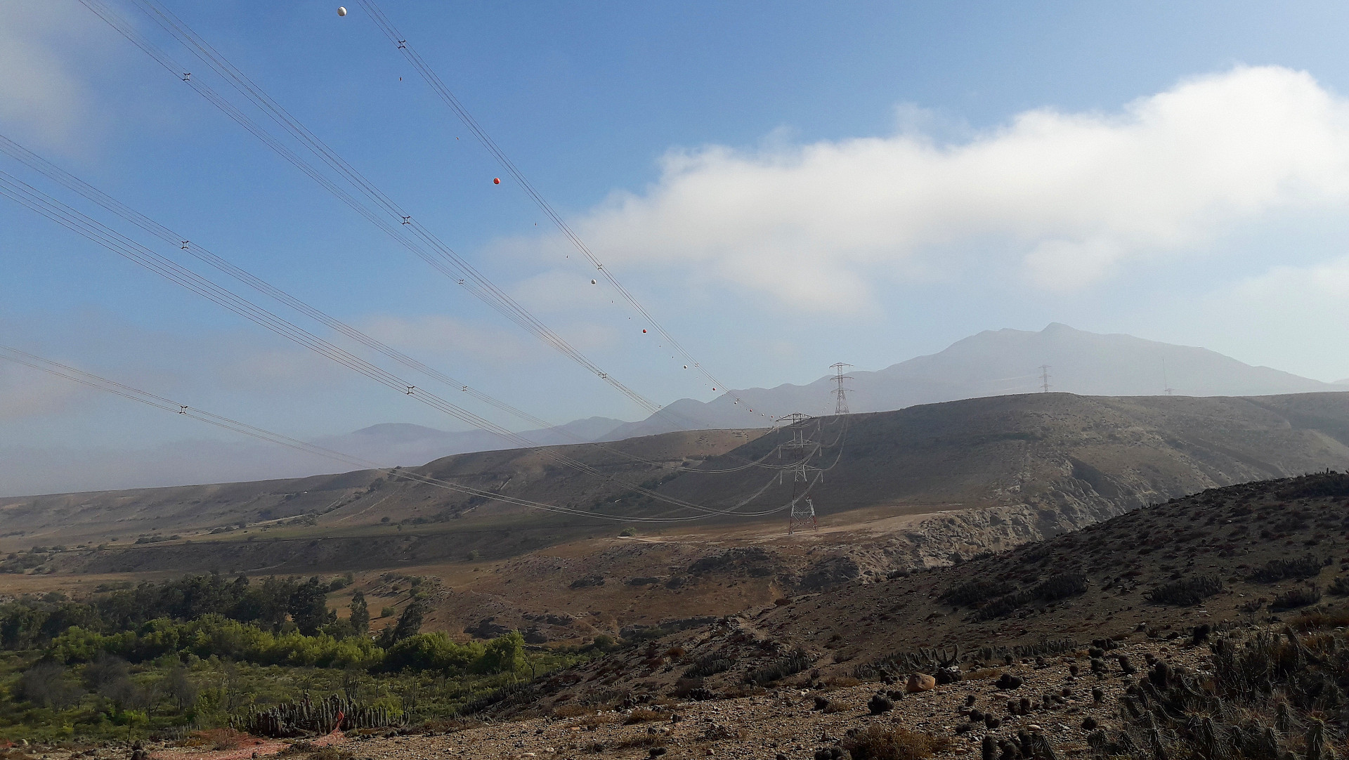img-cardones-polpaico-2