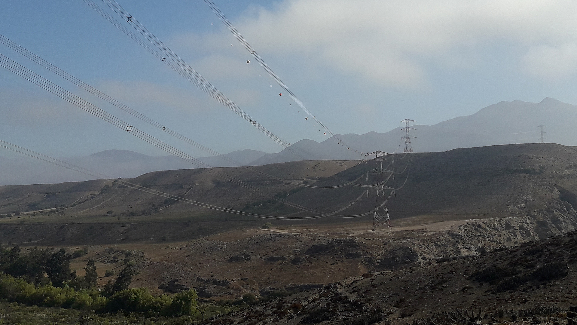 img-cardones-polpaico-3