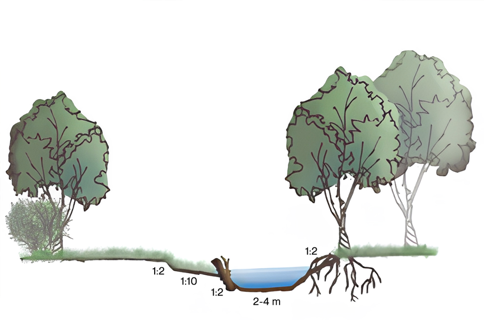 img-website-doorsnede-herinrichting-worm