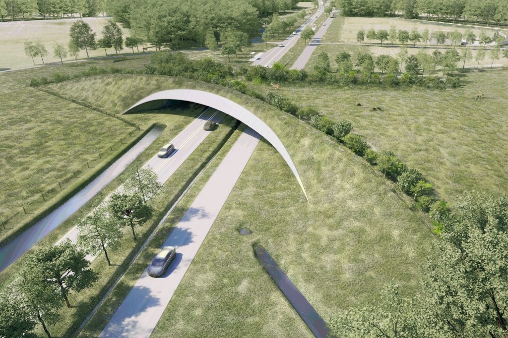 ecoduct rijssenjpg 111