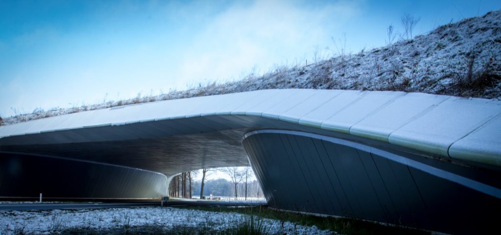 ecoduct rijssenjpg 333