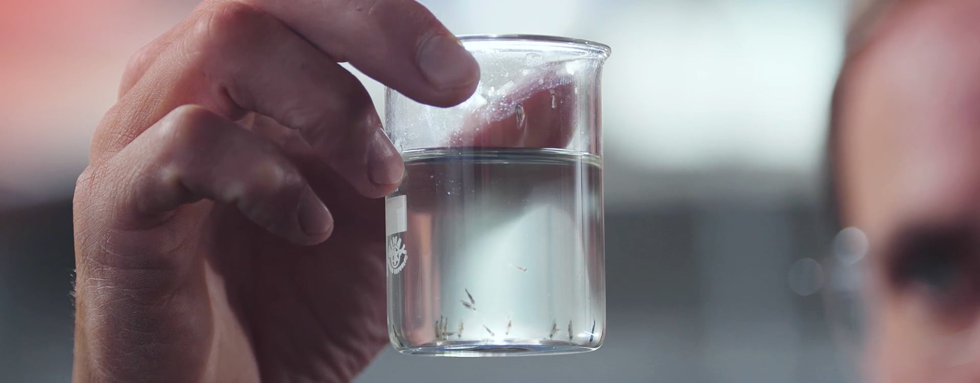 img-website-the-kingfish-company-boven-water-