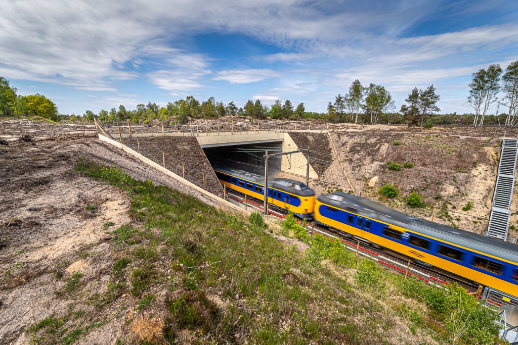Natuurbrug assense heidejpg 111
