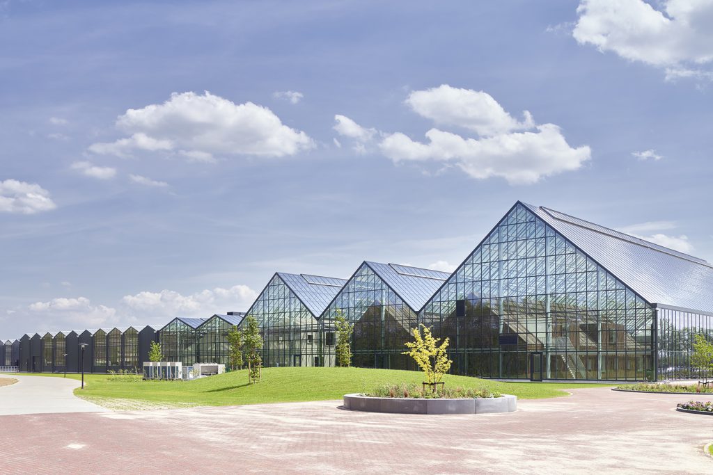 nieuwbouw Schoneveld 111