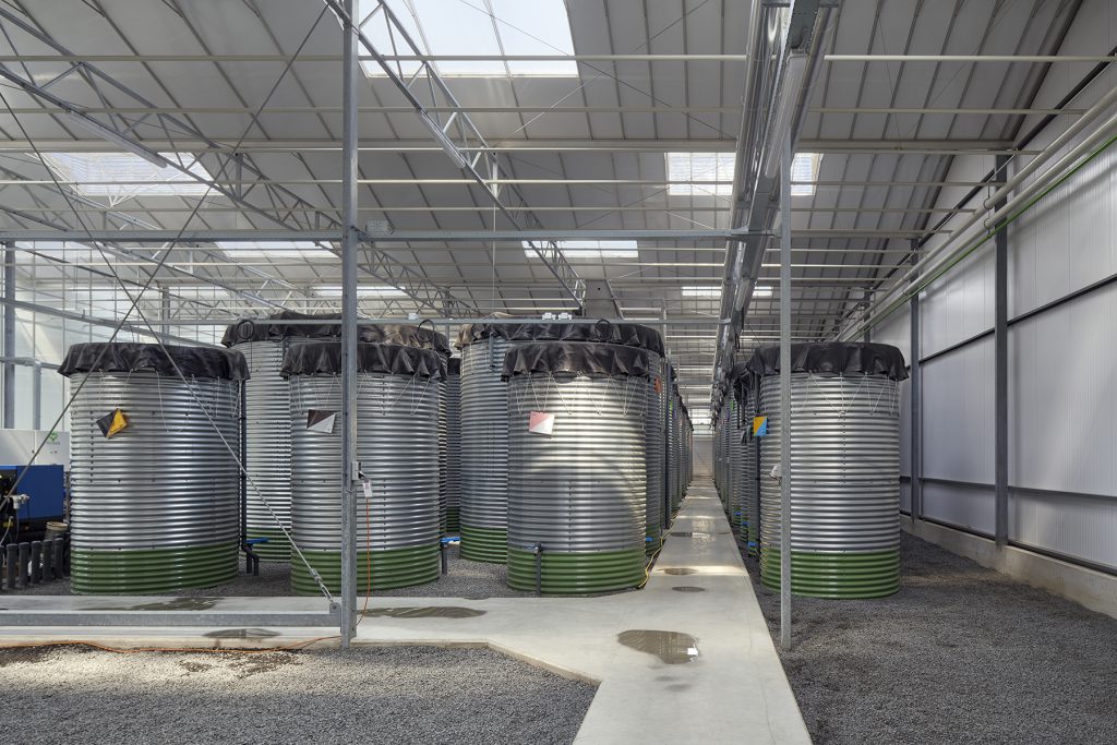 nieuwbouw schoneveld 333