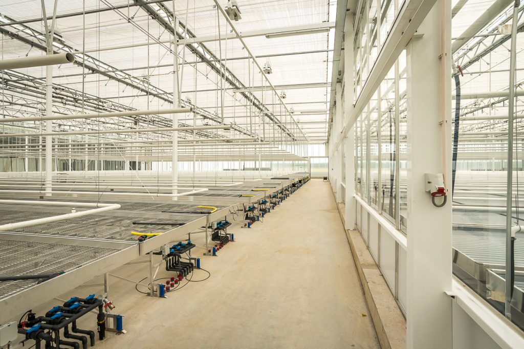 niuewbouw schoneveld 444