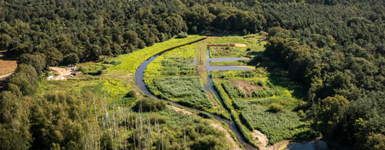tbn_Broekhuizerbroek_563x220
