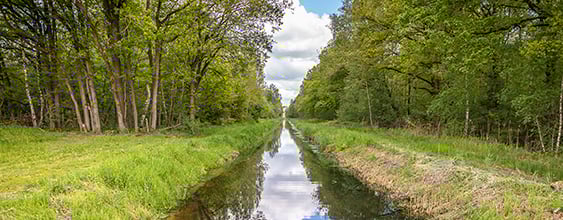 Weerterbos_tbn