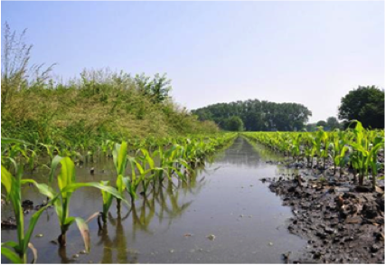 Wateroverlast-Waterschap-Vechtstromen_2