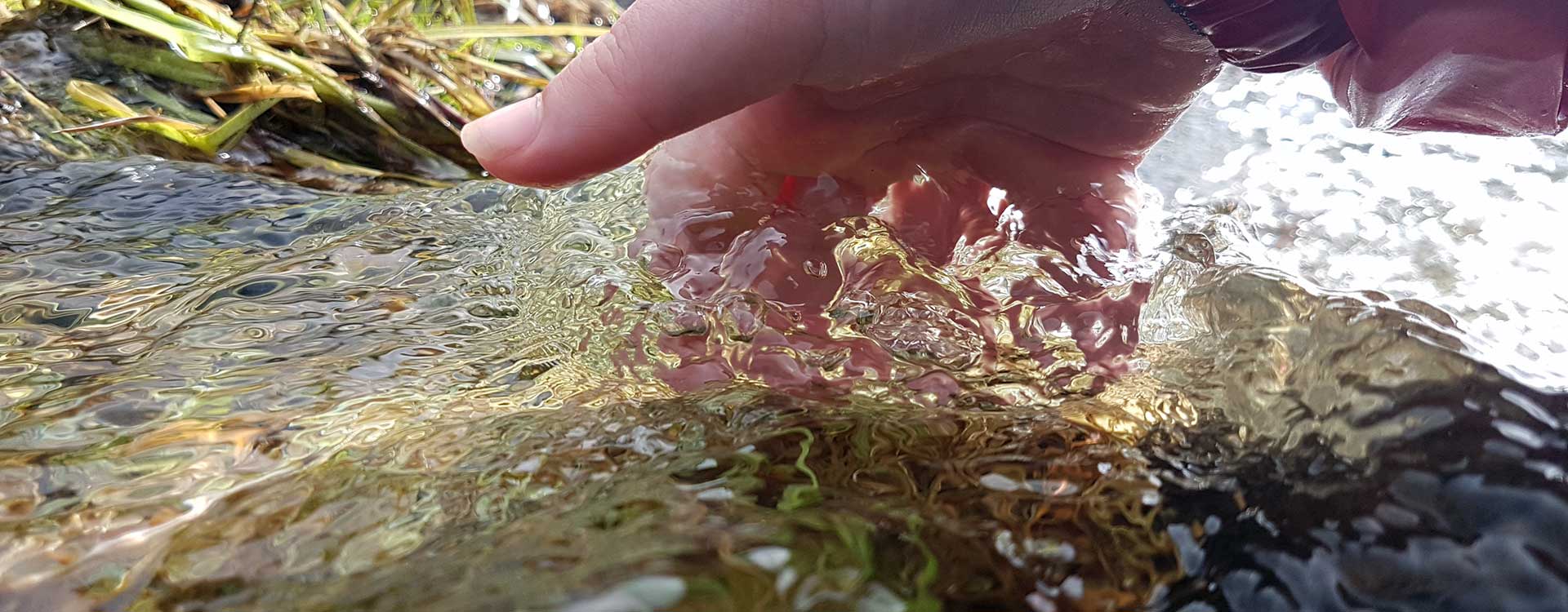 bnr-hand-in-water-stock