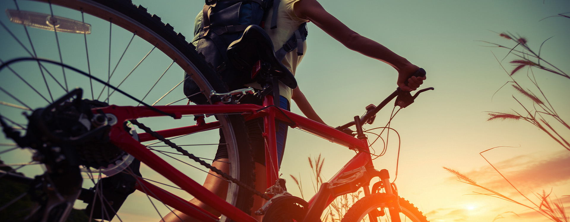 bnr-mountain-bike