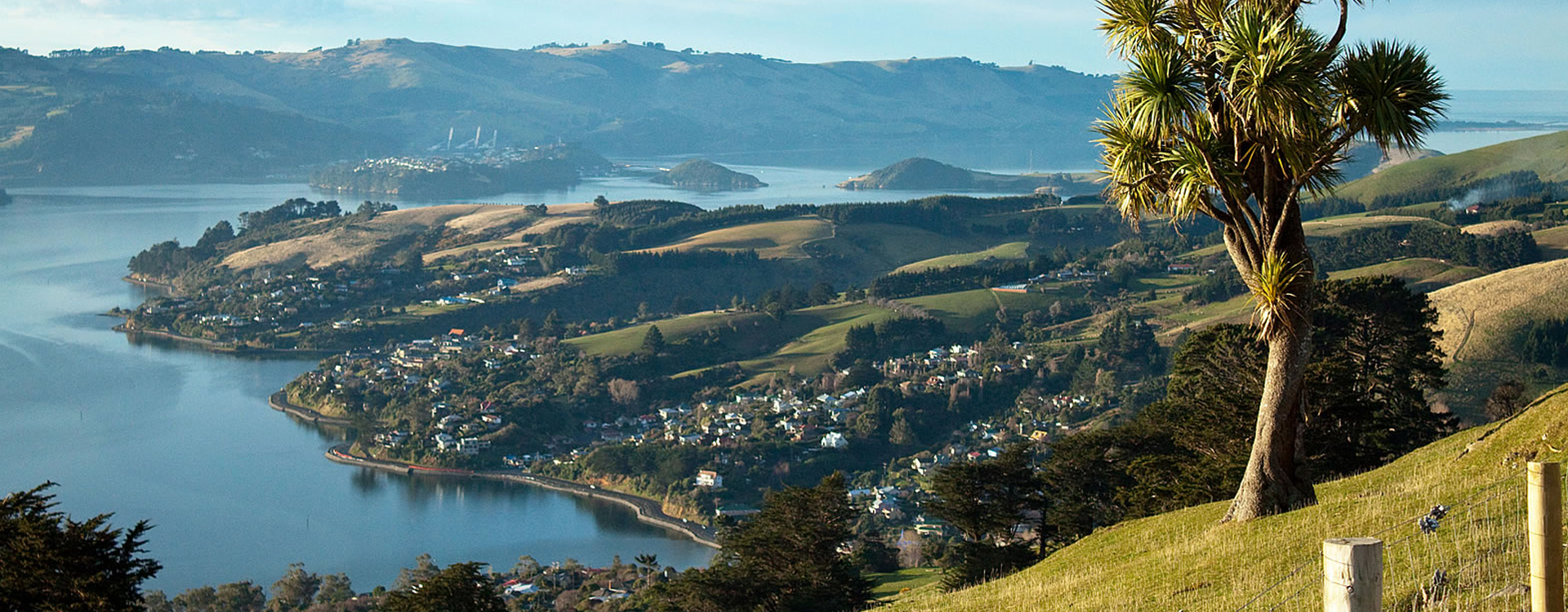bnr-water-dunedin