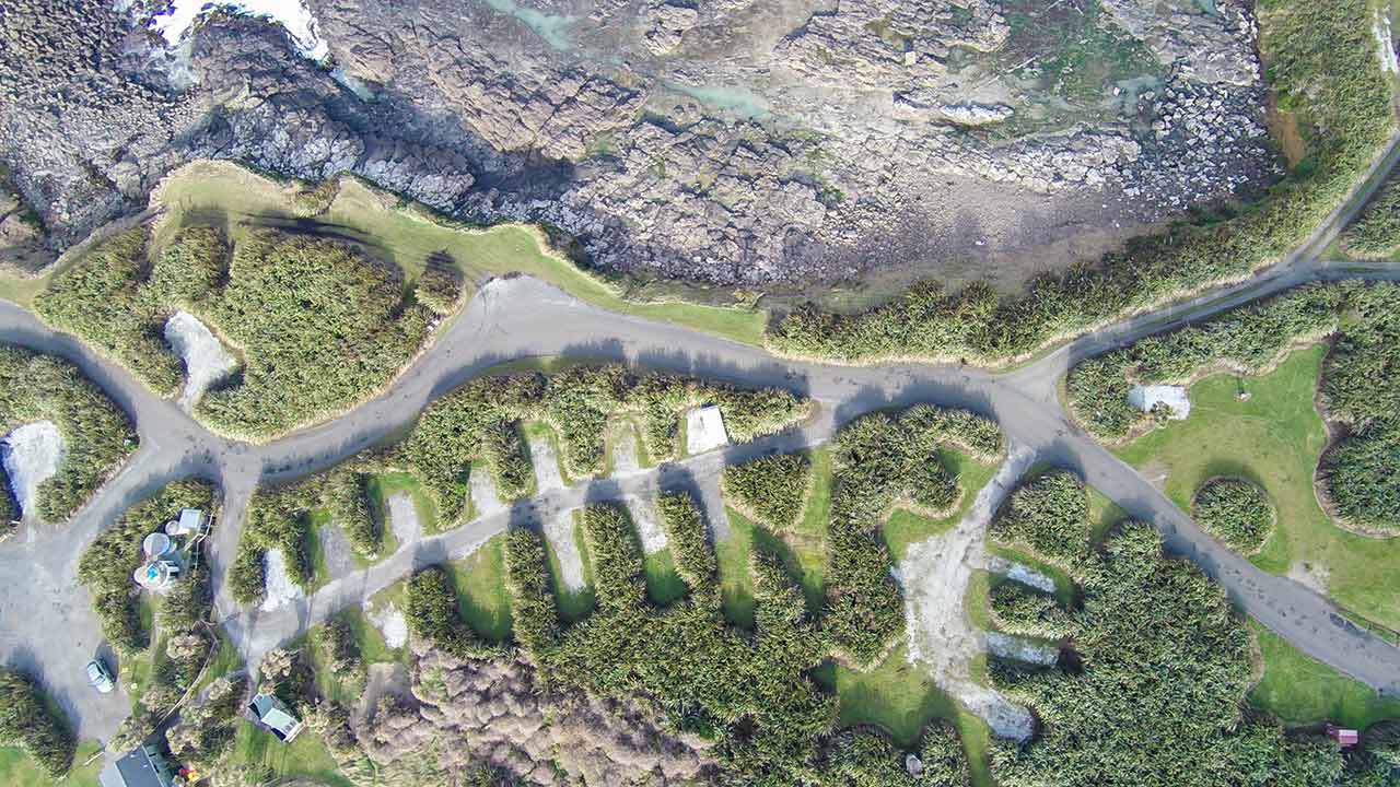 Curio-Bay-Camping-Ground