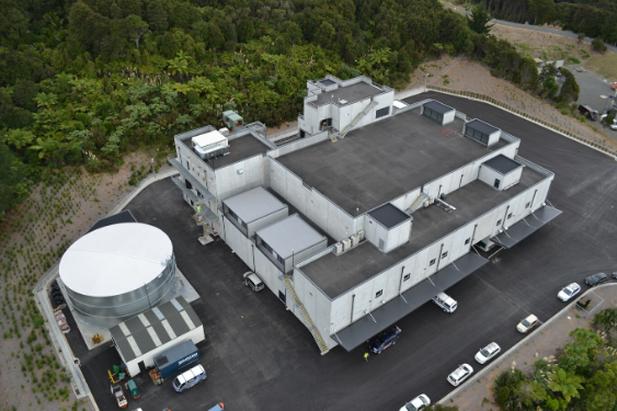 img-BTF2-NZDF