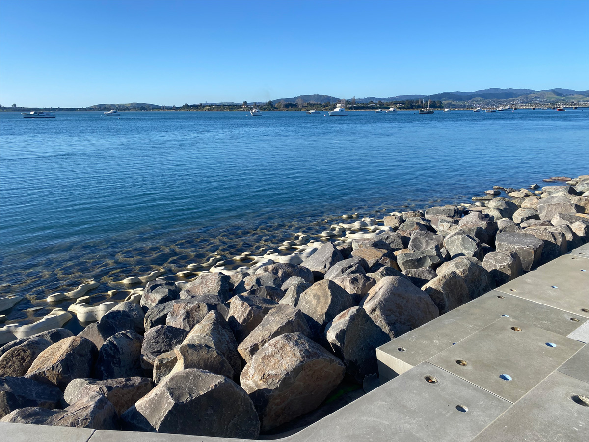 img_web Tauranga seawall pods