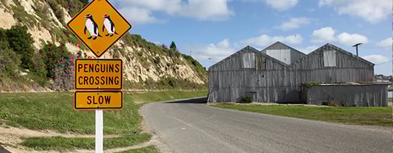 thn-waitaki-transport