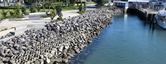 thn_Tauranga Seawall