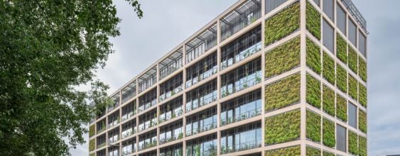 thn-warszawa-CDPROJEKT-PL