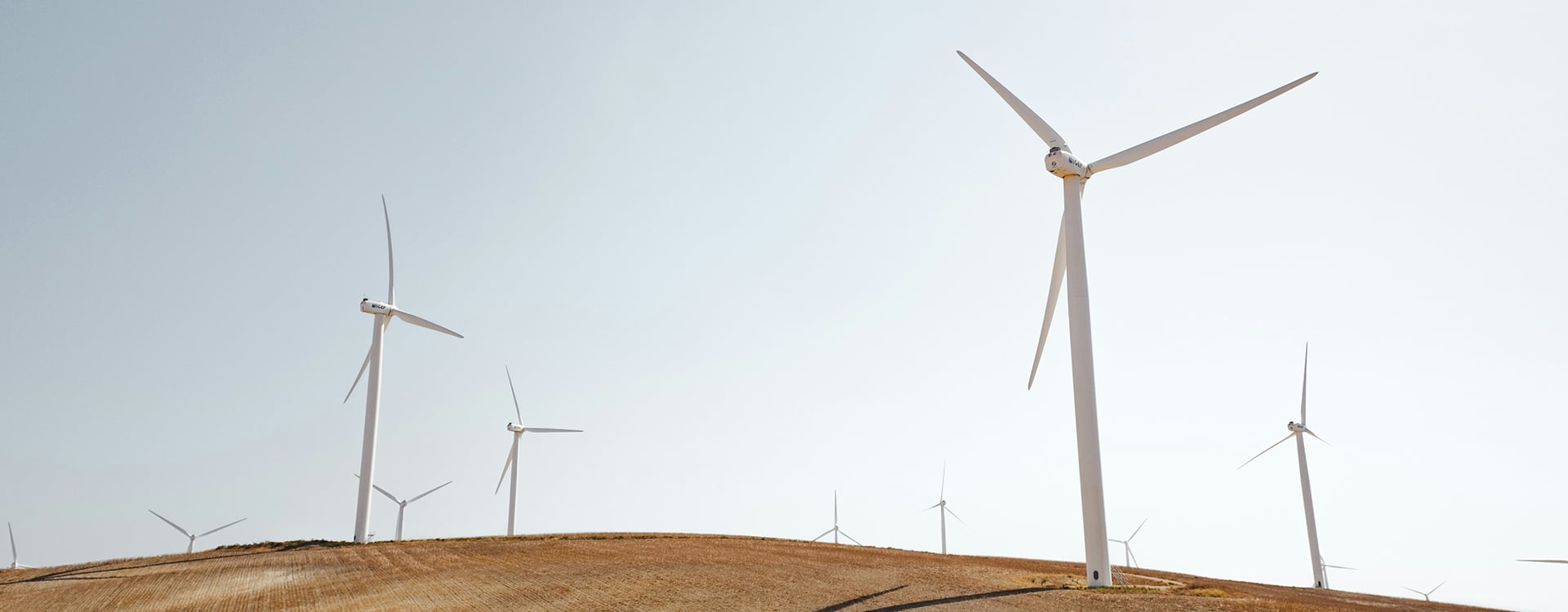 a windmill farm