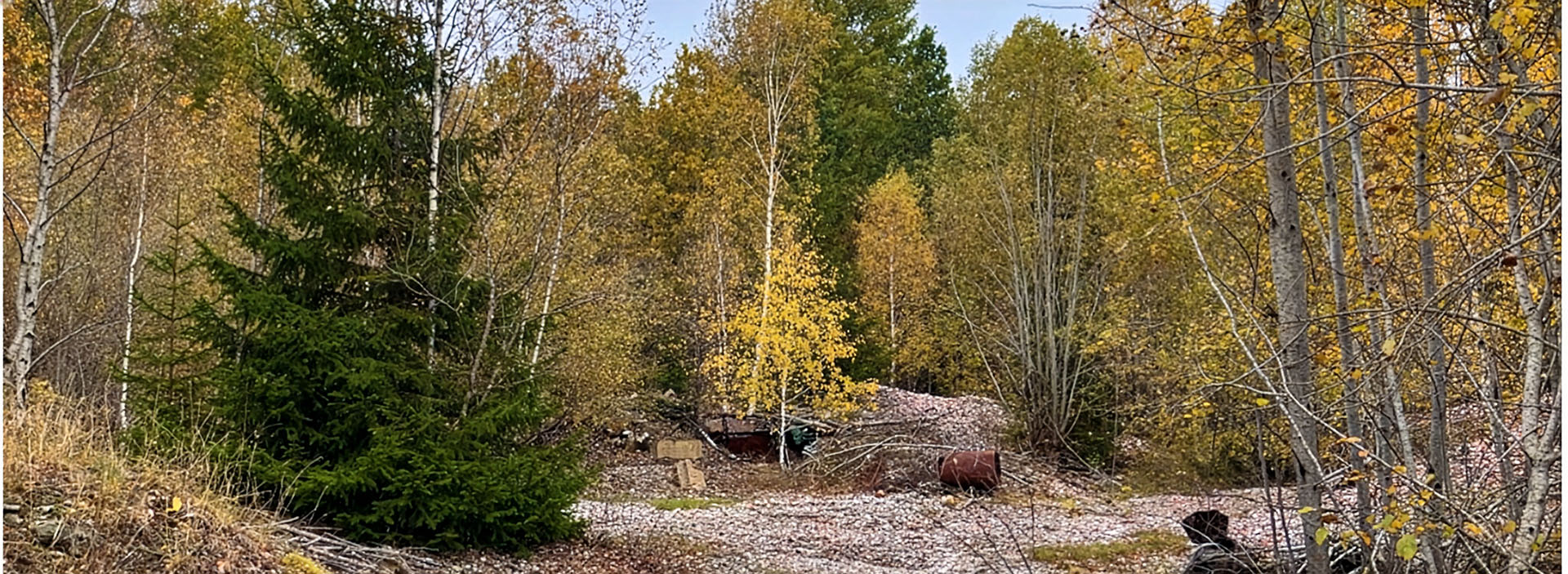 bnr-biologisk mngfald sanering