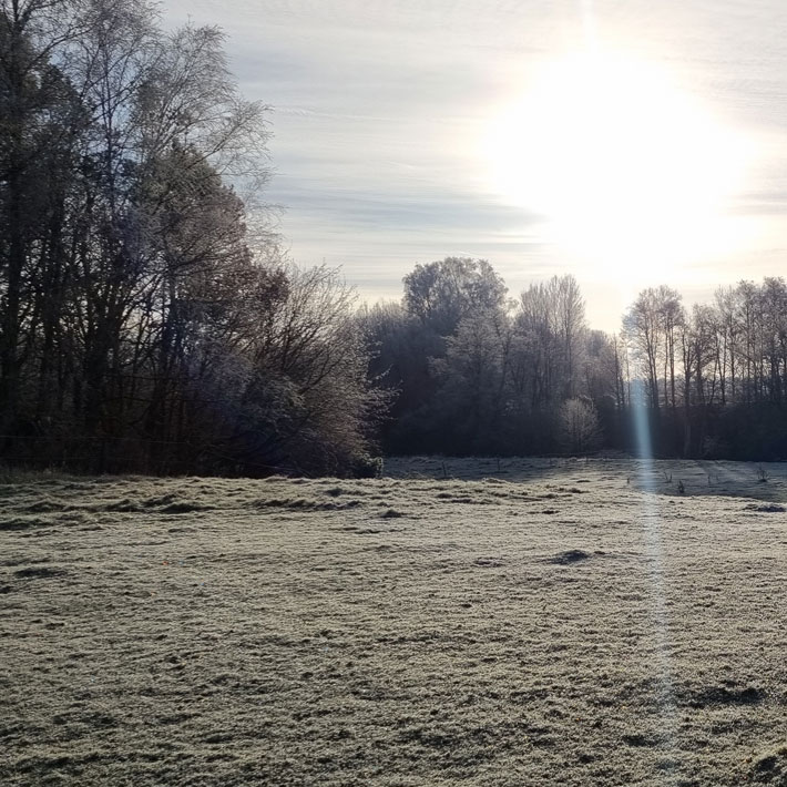 Vattenskyddsområde i Ljungby.