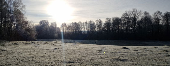 Vattenskyddsområde i Ljungby.