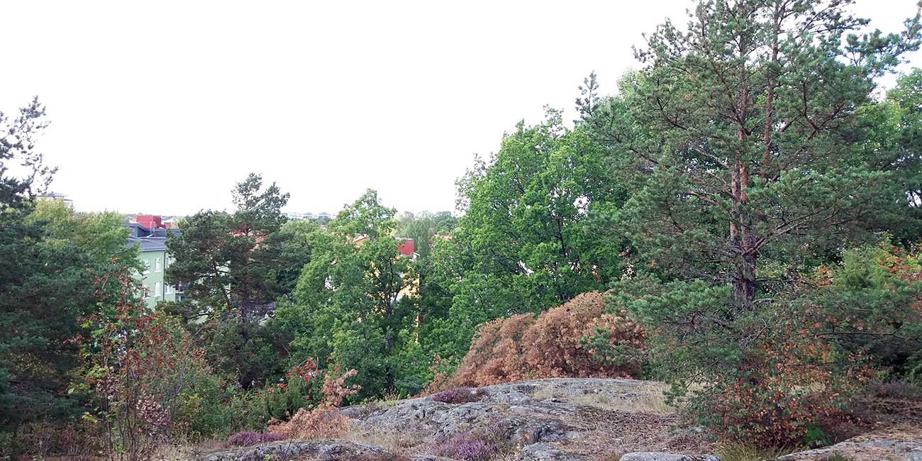 Flerfamiljshus skymtas från naturreservatet.